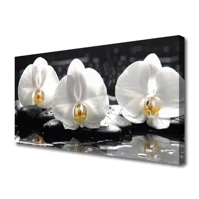 Obraz Canvas Kwiat Biała Orchidea