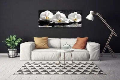 Obraz Canvas Kwiat Biała Orchidea