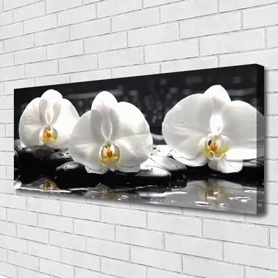 Obraz Canvas Kwiat Biała Orchidea