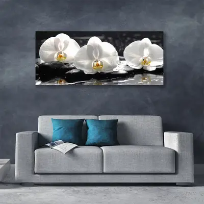 Obraz Canvas Kwiat Biała Orchidea