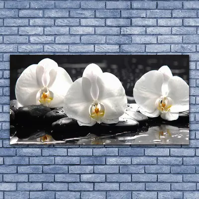 Obraz Canvas Kwiat Biała Orchidea