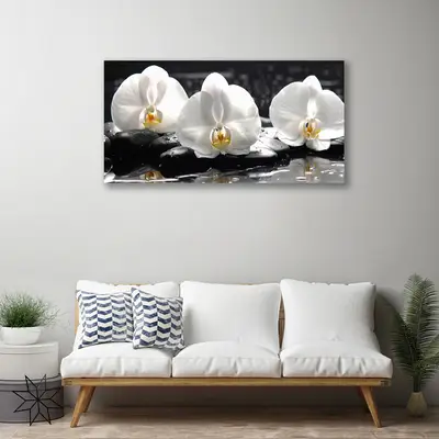 Obraz Canvas Kwiat Biała Orchidea