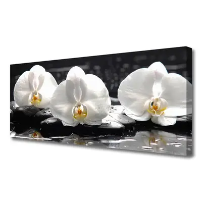 Obraz Canvas Kwiat Biała Orchidea