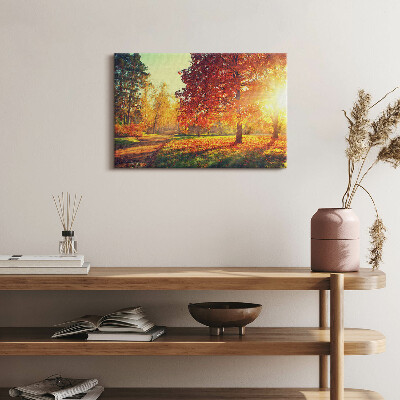 Obraz na płótnie 30x20 Jesienny park