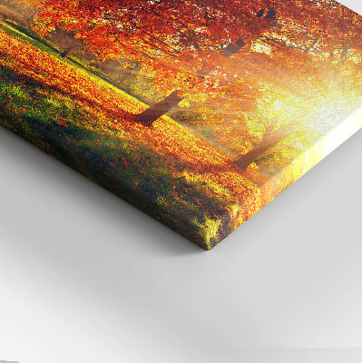 Obraz na płótnie 30x20 Jesienny park