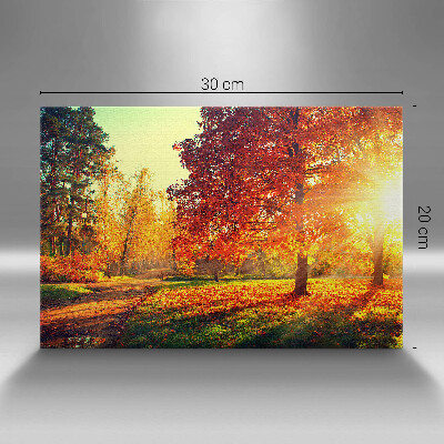 Obraz na płótnie 30x20 Jesienny park