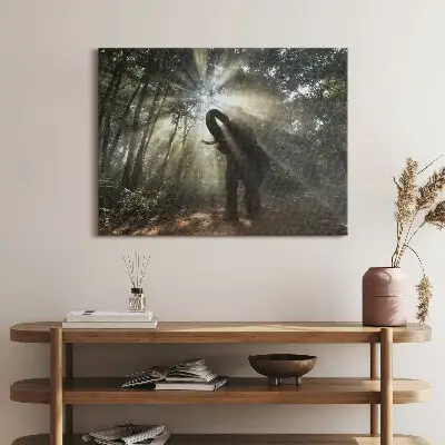 Obraz na płótnie 80x60 Słoń w dżungli