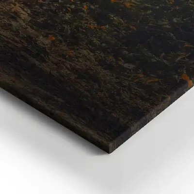 Foto obraz canvas 80x60 Mnich i słonie