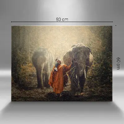 Foto obraz canvas 80x60 Mnich i słonie