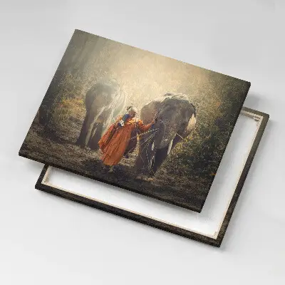Foto obraz canvas 80x60 Mnich i słonie