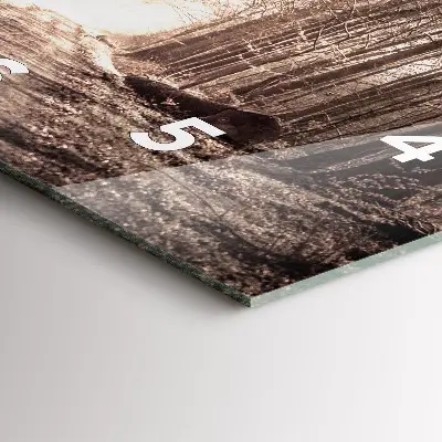 Zegar szklany 30x30 Leśna ścieżka w sepii