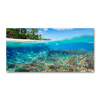 Foto obraz szkło akryl Rafa koralowa