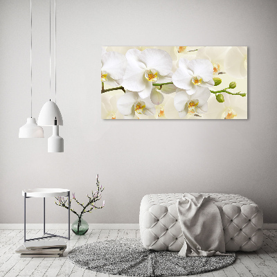 Foto obraz canvas Orchidea