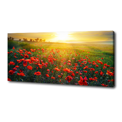 Foto obraz canvas Pole maków