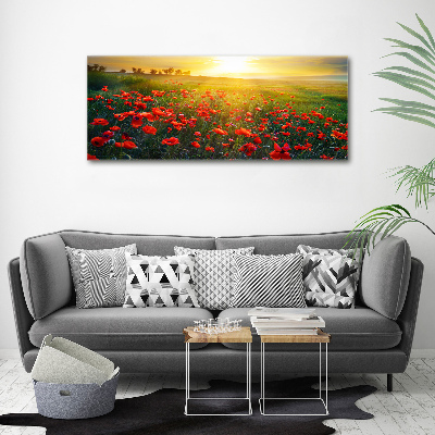 Foto obraz canvas Pole maków