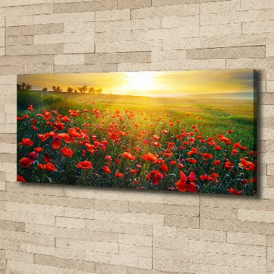 Foto obraz canvas Pole maków