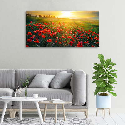 Foto obraz canvas Pole maków