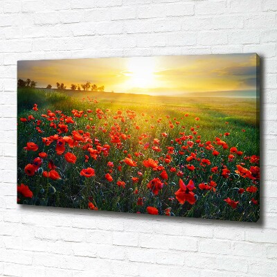 Foto obraz canvas Pole maków