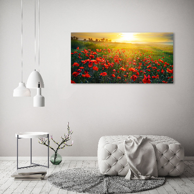 Foto obraz canvas Pole maków