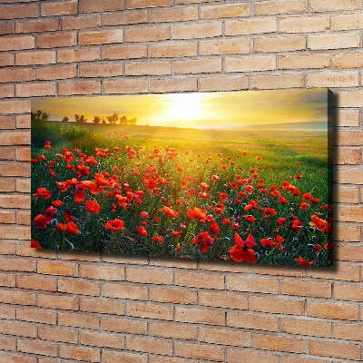 Foto obraz canvas Pole maków