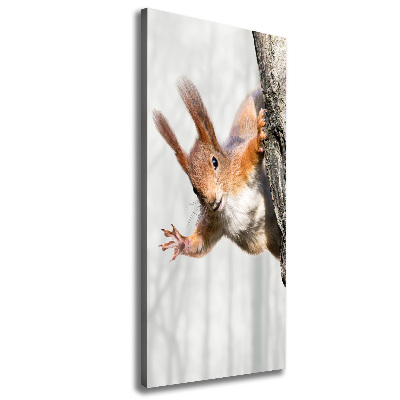 Foto obraz canvas pionowy Wiewiórka na drzewie