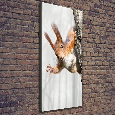 Foto obraz canvas pionowy Wiewiórka na drzewie
