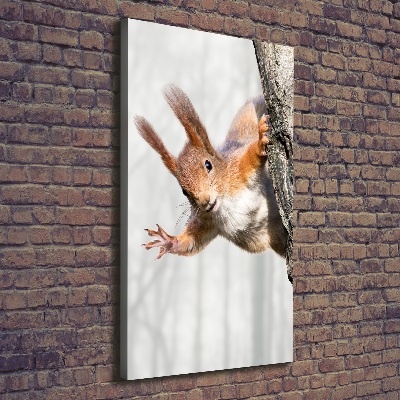 Foto obraz canvas pionowy Wiewiórka na drzewie