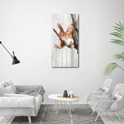Foto obraz canvas pionowy Wiewiórka na drzewie
