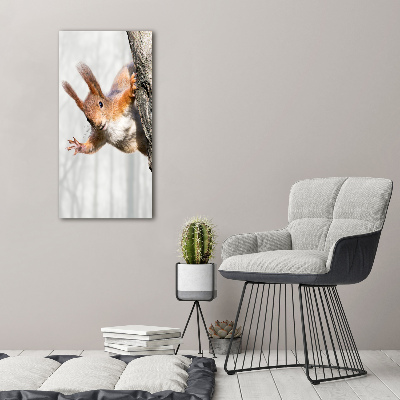 Foto obraz canvas pionowy Wiewiórka na drzewie