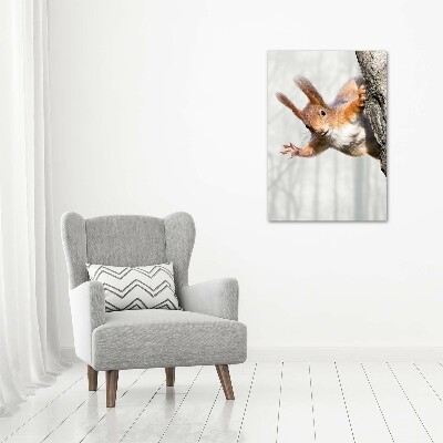Foto obraz canvas pionowy Wiewiórka na drzewie