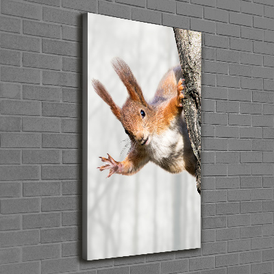 Foto obraz canvas pionowy Wiewiórka na drzewie