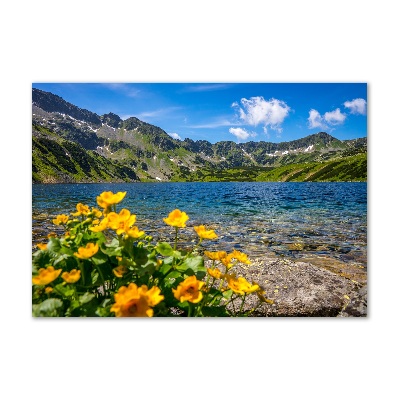Foto obraz szklany Jezioro w górach